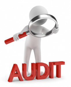 CPA Audit Review Compilation